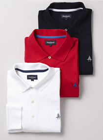 「ザ・パーフェクト・ポロ」紳士