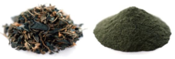 従来 乾燥したタデアイの葉